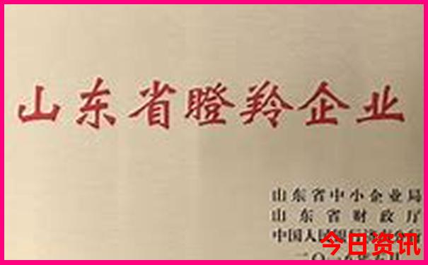 春节出游去哪里好